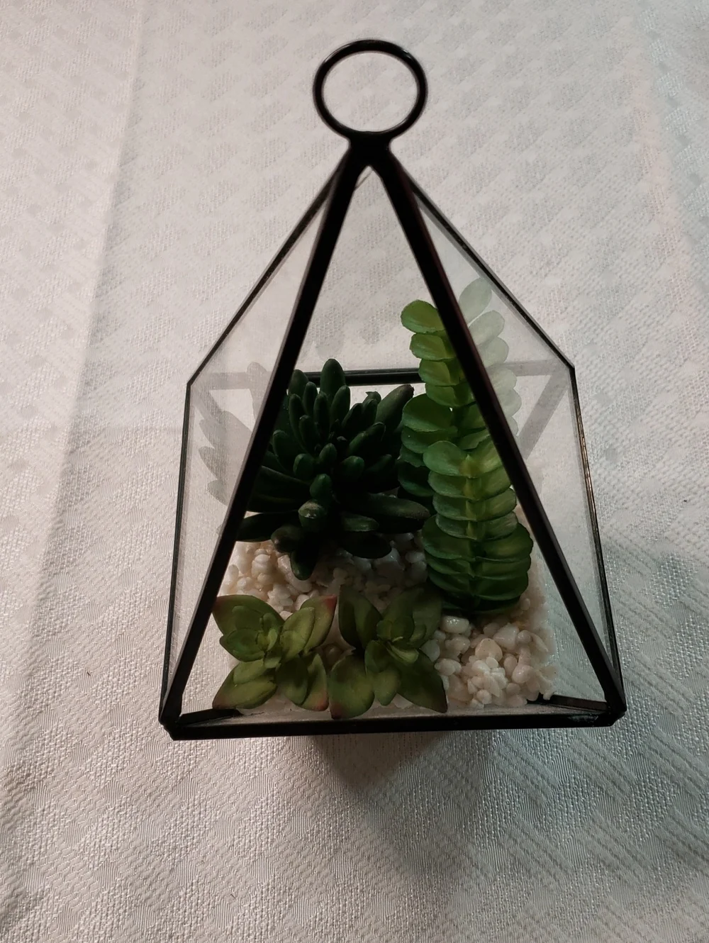 Source Unknown Black Pyramid Glass Terrarium with Green Faux Succulents